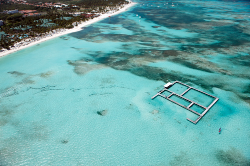 Dolphin Island Off Punta Cana