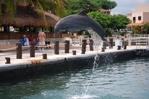 Puerto Aventuras, Quintana Roo, Mexico