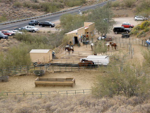 Horseback Riding in Cave Creek - Photo #61