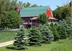 Iowa: Red Barn House and Silo in Pine Trees