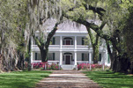 Louisiana: Southern Plantation