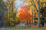 Wisconsin Winding Road